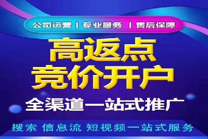 探索sem公司的策略与效果